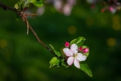 thumbs_unbenannt-3722